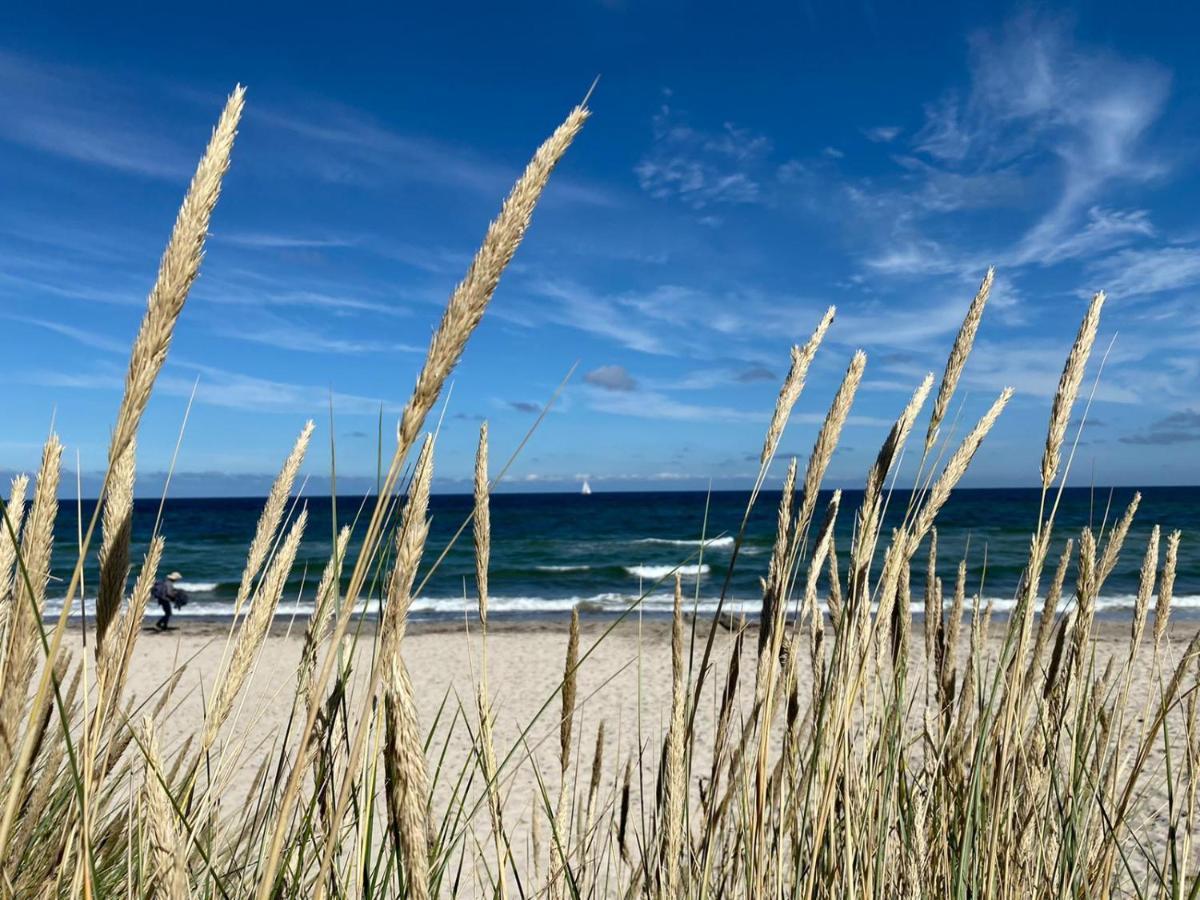 Varnkevitz Ostseehaus Am Naturstrand - Arkonablickヴィラ エクステリア 写真