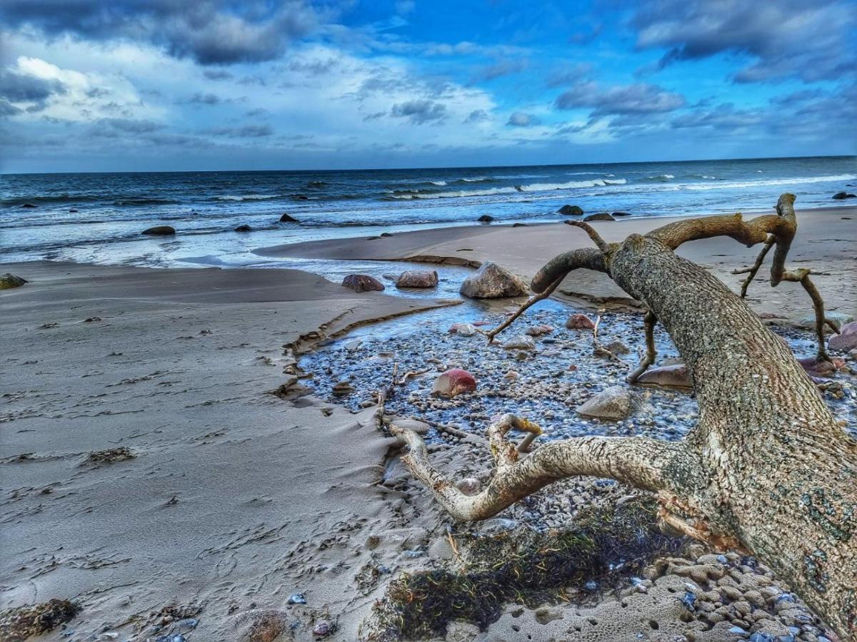 Varnkevitz Ostseehaus Am Naturstrand - Arkonablickヴィラ エクステリア 写真